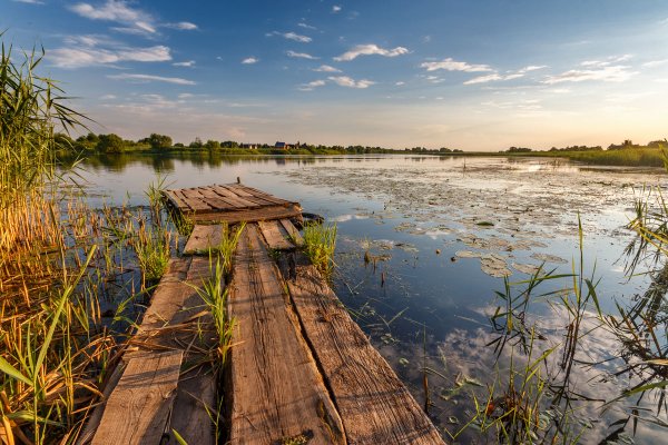 Озеро плетень пильге