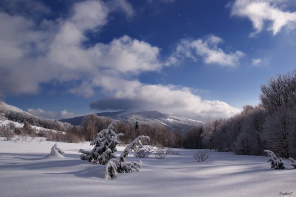 Зимняя погода пейзаж