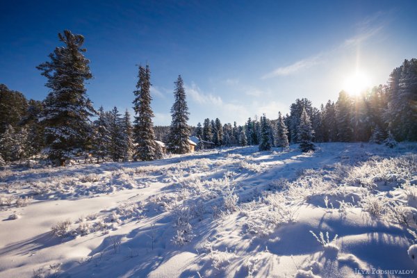 Ясный зимний день