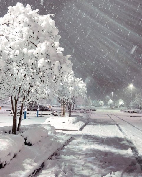 Дождь зимой