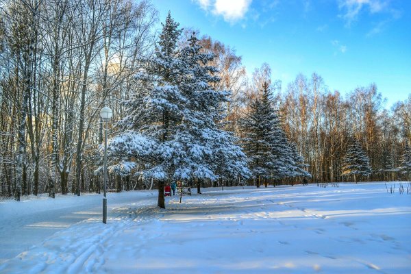 Ясный день зимой