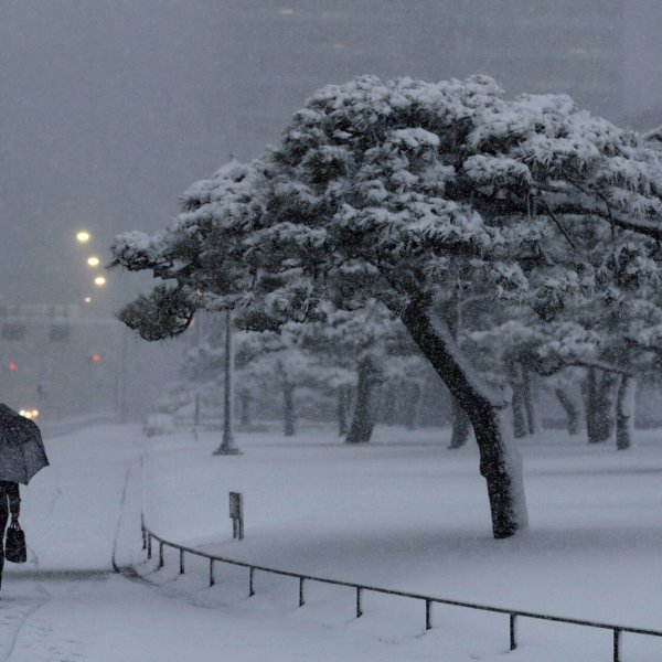 Зима в Японии Токио