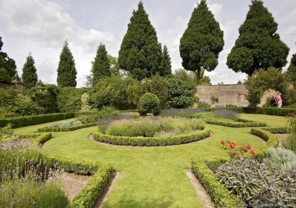 Самшит английский сад Мюнхен