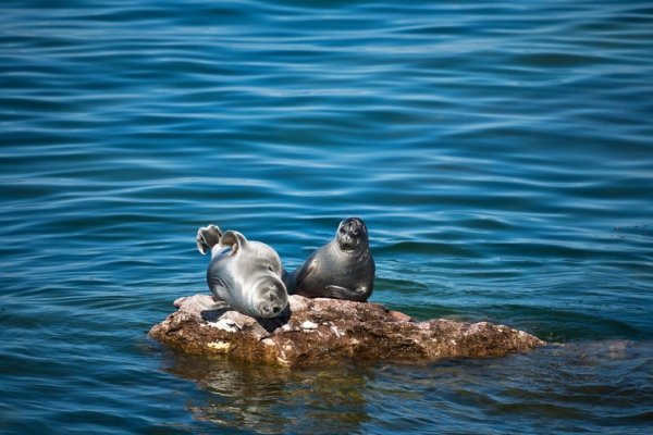 Ушканьи острова на Байкале