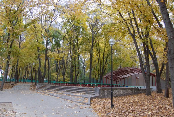 Парк революции Ростов сцена