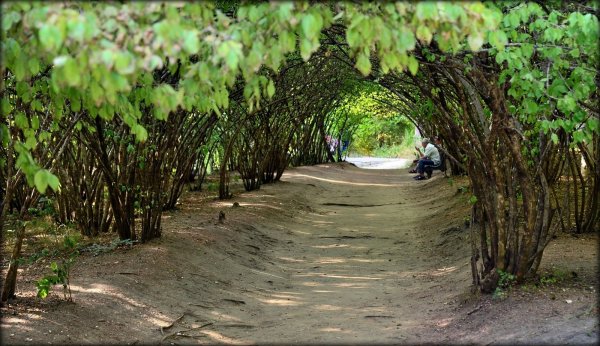 Национальный парк Кисловодск
