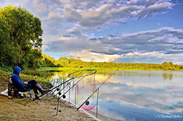 Лето рыбалка