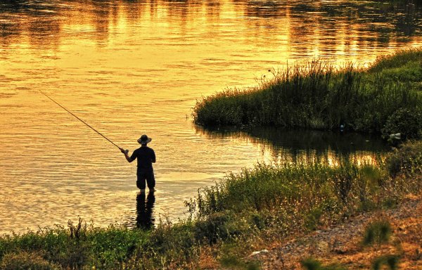 Летняя рыбалка