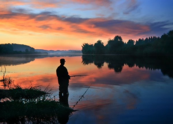 Рыбак на берегу