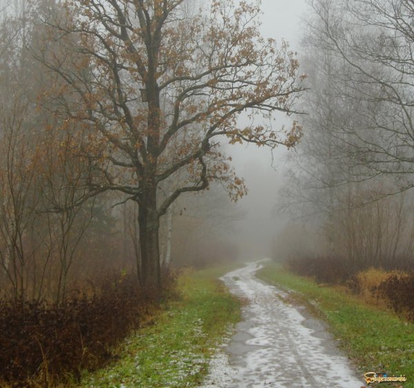 Пейзаж плохой погоды
