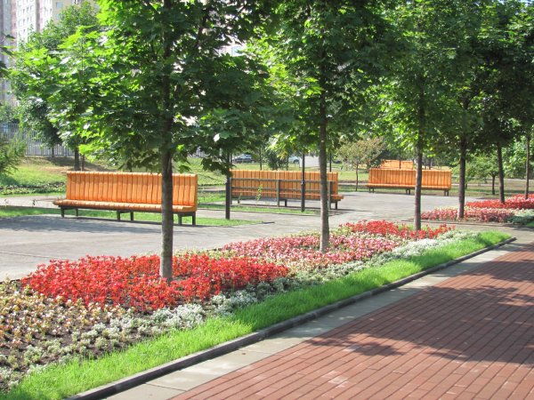 Школьный сквер