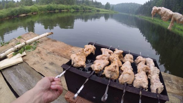 Природа шашлыки речка