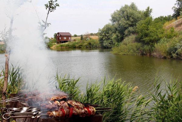 Шашлыки у водоема