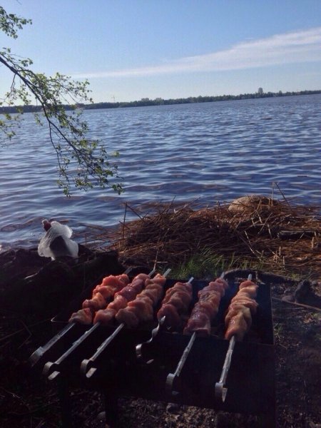 Шашлыки на финском заливе