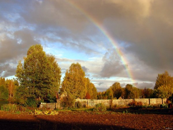 Осень Радуга