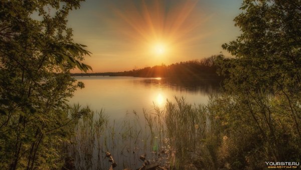 Лето река солнце