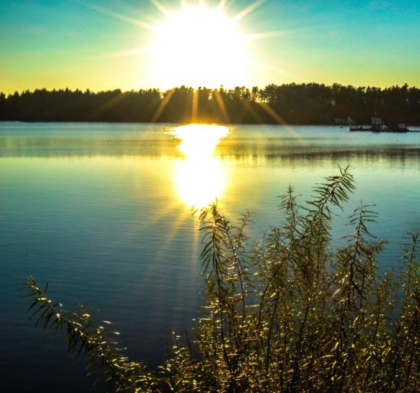 Отражение солнца в воде