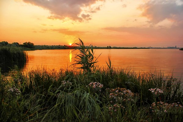 Вечер на берегу реки