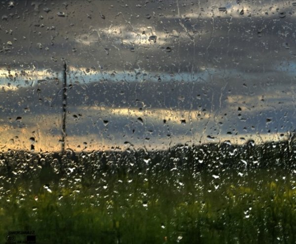 Дождь пасмурно