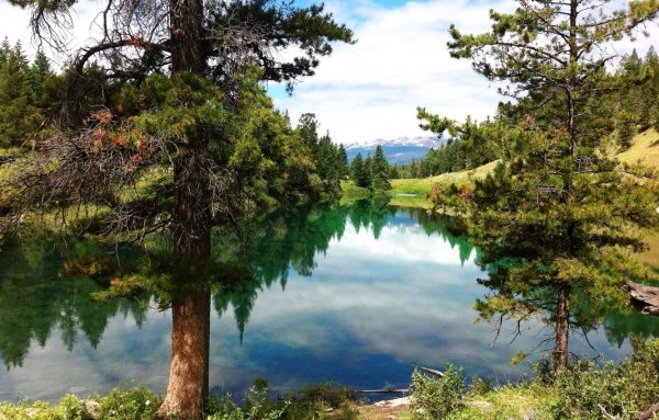 Горы озеро сосны