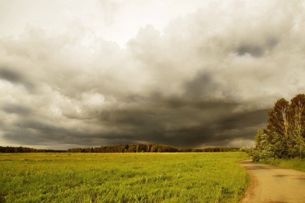 Пейзаж пасмурно