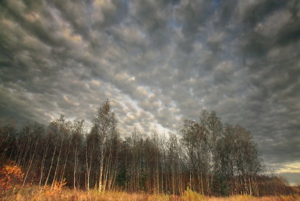 Картинка осенью хмуриться небо