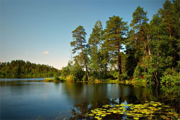 Сосновый Бор озеро