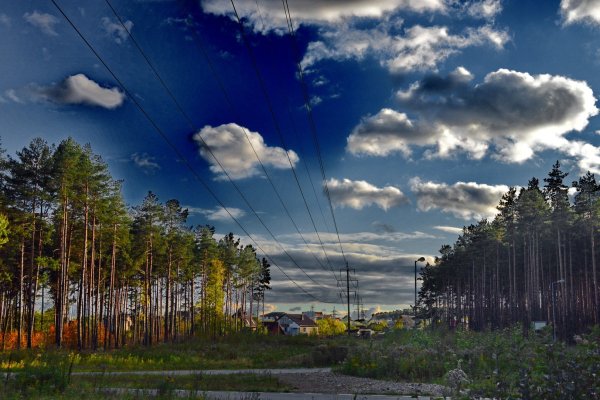 Картинка осенью хмуриться небо