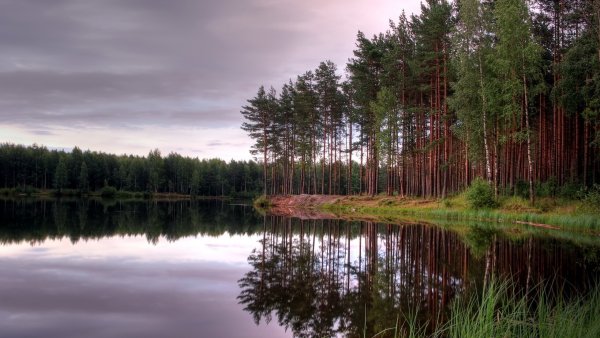 Сосновый Бор Карелия