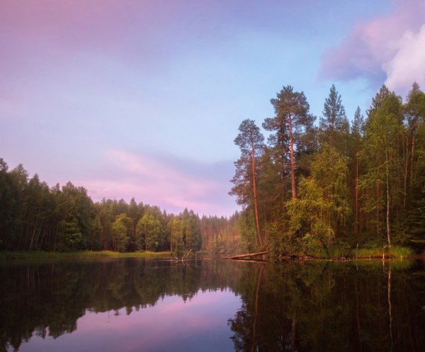 Река сонго Карелия