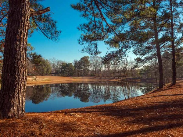 Голубое озеро в Сосновом Бору