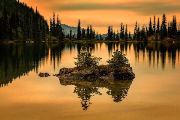 Деревья отражаются в воде