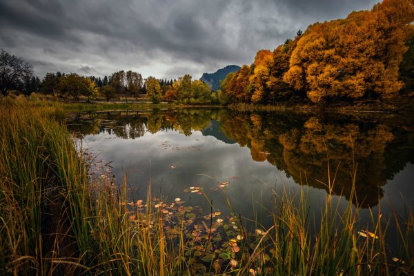 Осень река