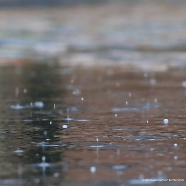 Пузыри на лужах