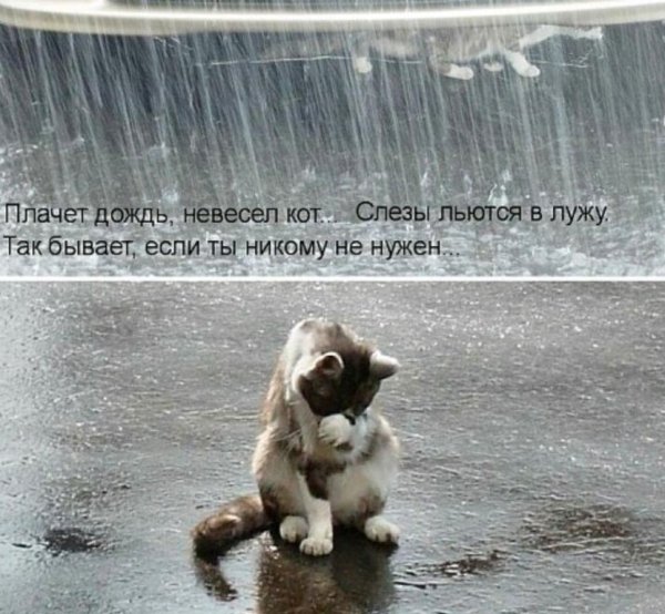 Фразы про дождь и настроение