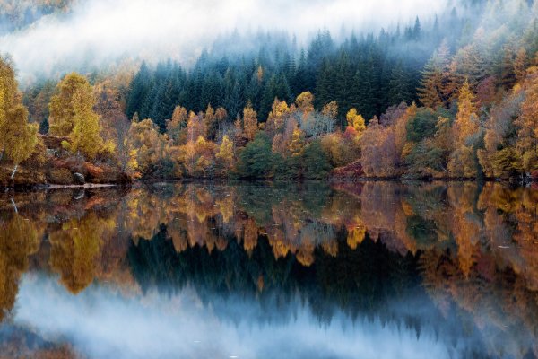 Отражение природы в воде
