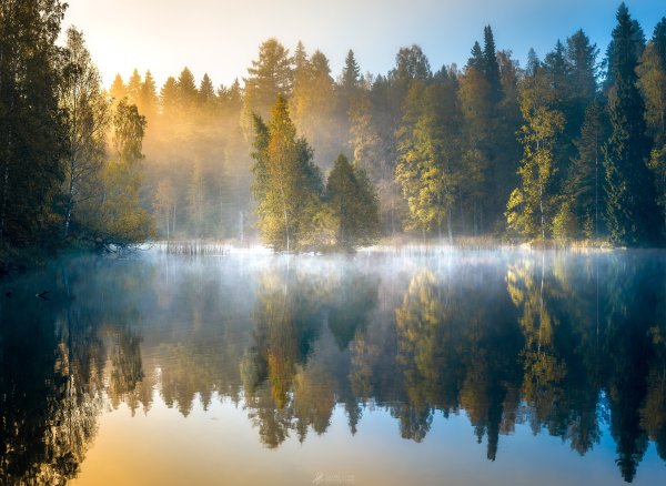 Лесное озеро (Forest Lake)