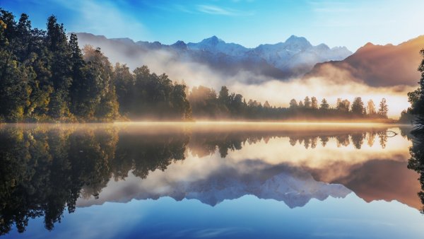 Лес солнце вода