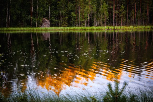 Отражение в реке