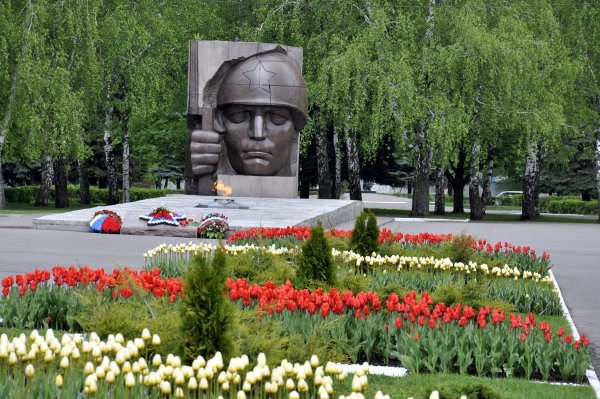 Коломна парк с вечным огнем
