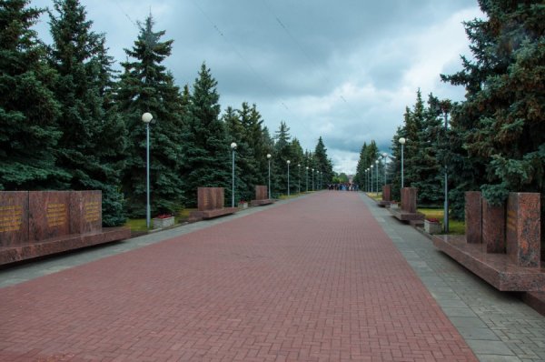 Аллея воинской славы Чебоксары