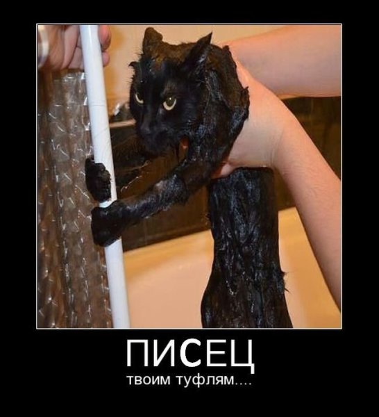 Пипец картинки смешные