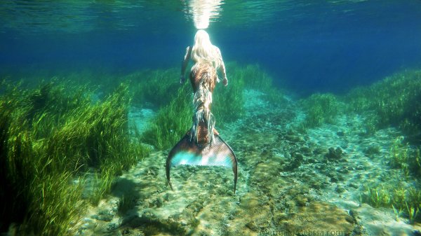Mermaid Melissa