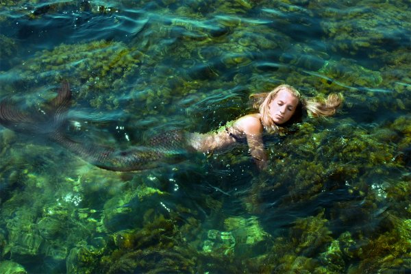 Русалка настоящая красивая