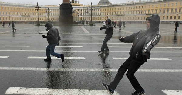 Сильный ветер в Санкт-Петербурге