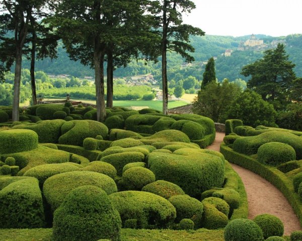 Самшитовый сад во Франции