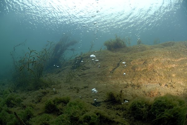 Вадская воклина