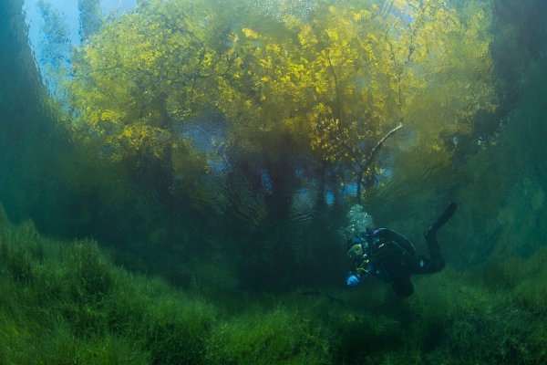Виктор Лягушкин фотограф National Geographic