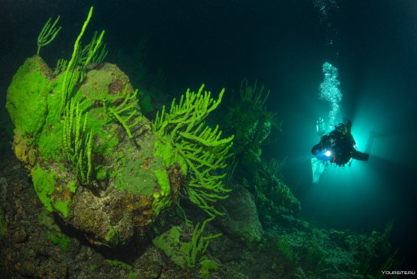 Виктор Лягушкин