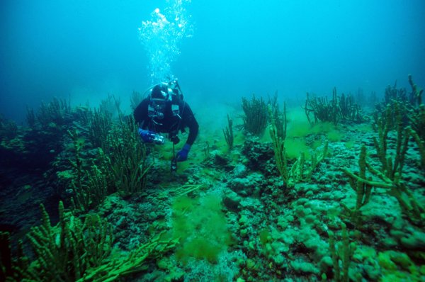 Озеро Байкал дайвинг